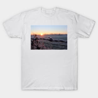 Winter Dream T-Shirt